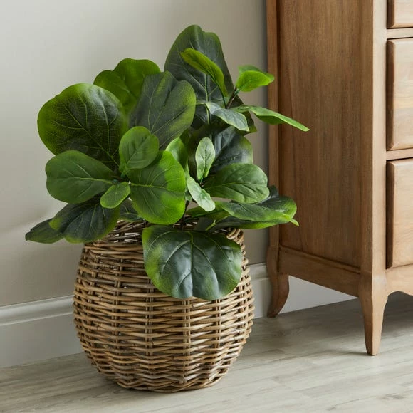 Budget ๐งจ Churchgate Churchgate Rattan Planter ๐งจ 1 Budget ๐งจ Churchgate Churchgate Rattan Planter ๐งจ