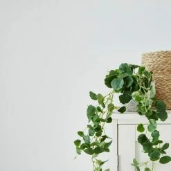 Budget ✔️ Churchgate Churchgate White Matt Emulsion Paint 🛒 7 Budget ✔️ Churchgate Churchgate White Matt Emulsion Paint 🛒 -Churchgate Sales 2024 30771347 alt04