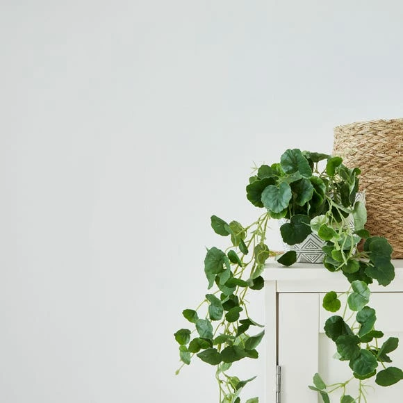 Budget ✔️ Churchgate Churchgate White Matt Emulsion Paint 🛒 4 Budget ✔️ Churchgate Churchgate White Matt Emulsion Paint 🛒 - Image 4