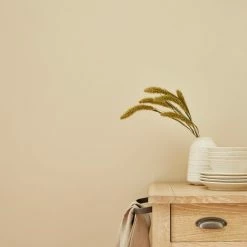 Coupon ✔️ Churchgate Churchgate Purity Almond Eggshell Paint 🎉 -Churchgate Sales 2024 30771361 alt03