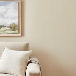 New ✔️ Churchgate Churchgate Shell White Eggshell Paint 👍 -Churchgate Sales 2024 30771363 alt03